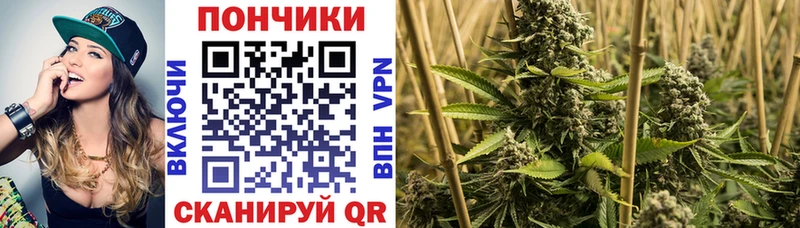 Купить Шацк СОЛЬ  Кодеин  Меф мяу мяу  Марихуана  КОКАИН  Бутират 