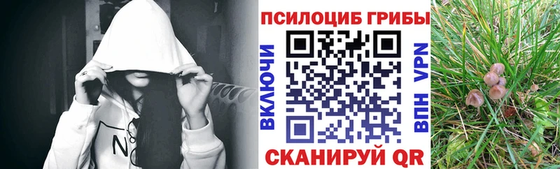 Псилоцибиновые грибы мицелий  цена наркотик  Шацк 